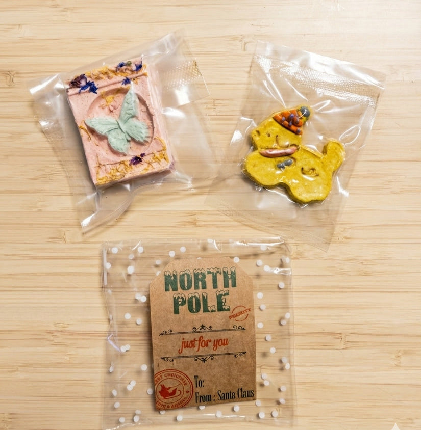 Personalized Holiday Pet Stocking Stuffers (Custom Name Tag)