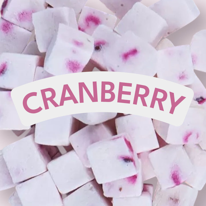 Healthy Berry Yogurt Cubes