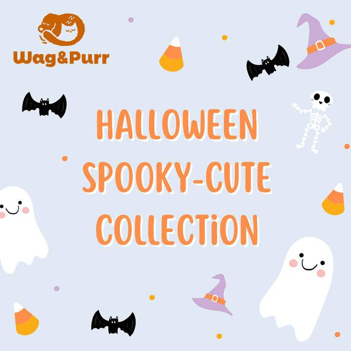Halloween Spooky-Cute Collection