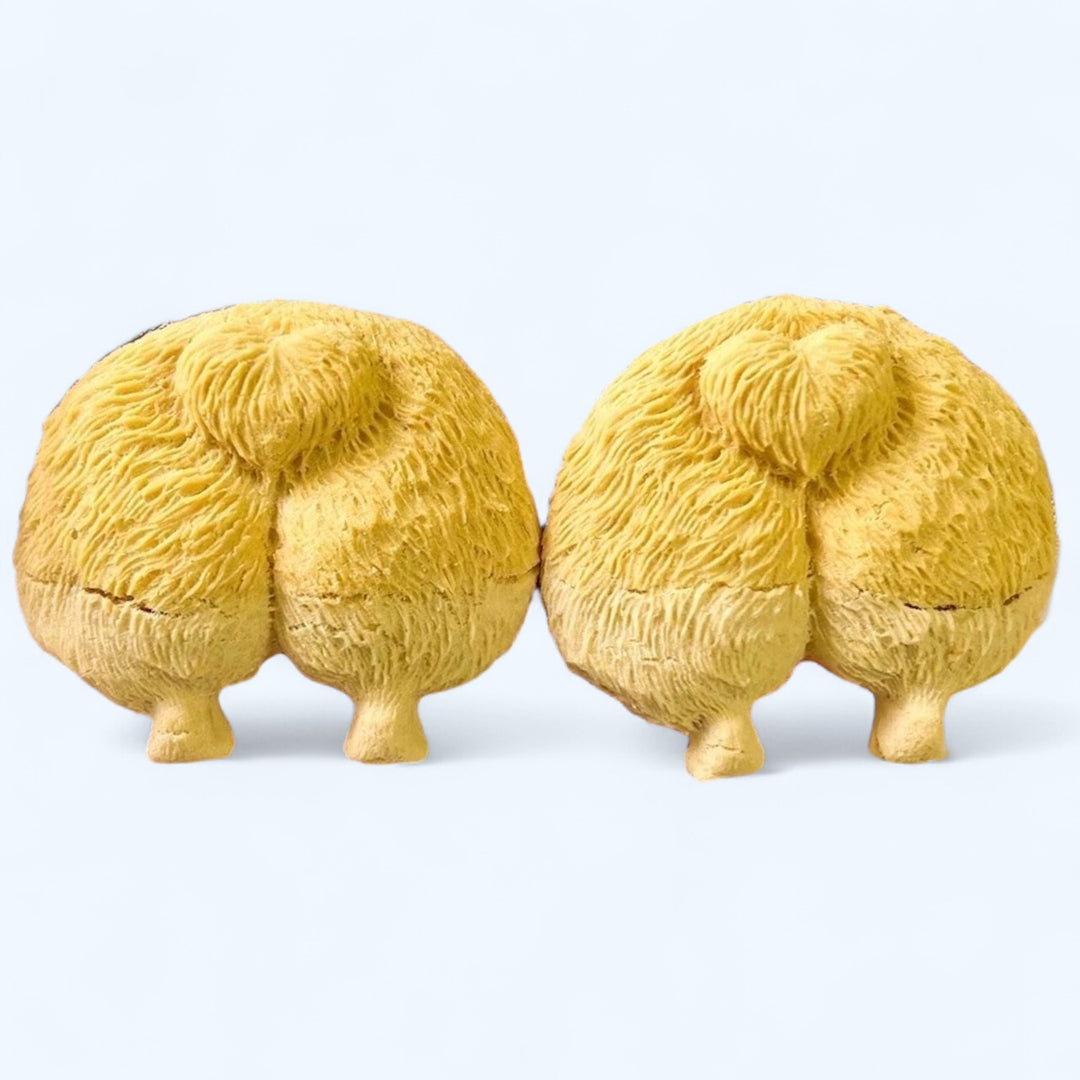 Corgi Booty Bites