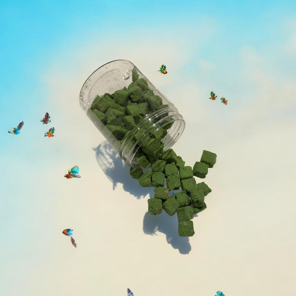 Purrfect Cubes